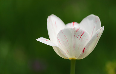 Similar image 648492