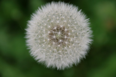 Similar image 648525