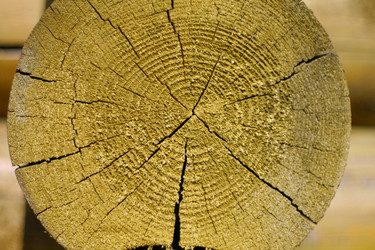 Similar image 648536