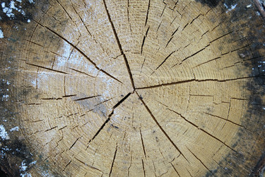 Similar image 648537