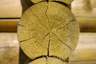 Similar image 648538