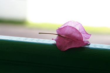 Similar image 648541