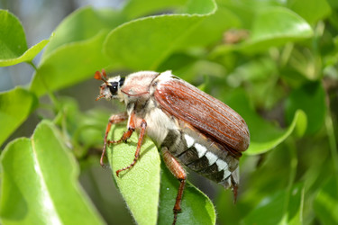 Similar image 648564