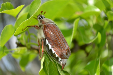 Similar image 648565