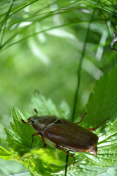 Similar image 648567