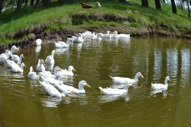 Similar image 648585