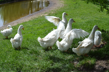 Similar image 648589