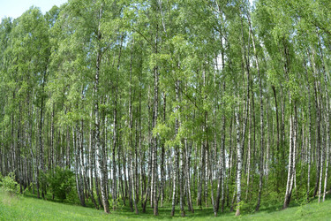 Similar image 648591