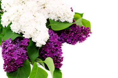 Similar image 648633