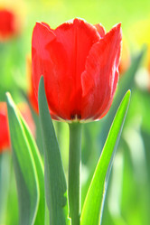 Similar image 648638