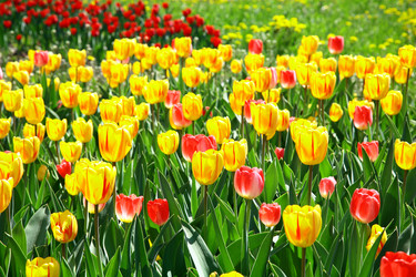 Similar image 648642