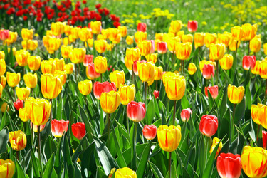 Similar image 648643