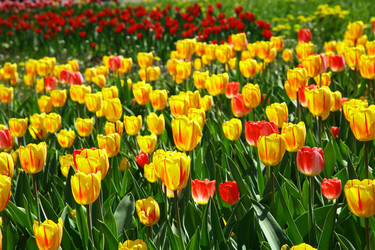 Similar image 648645