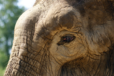 Similar image 648646