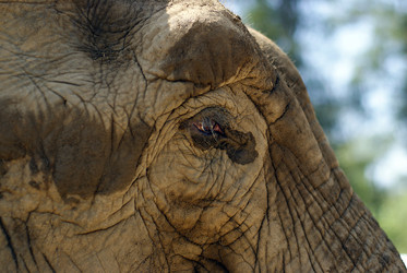 Similar image 648647