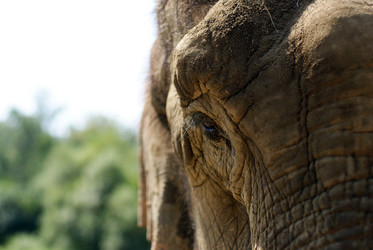 Similar image 648648