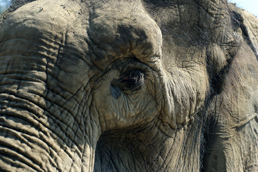 Similar image 648649