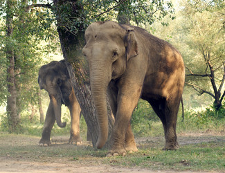 Similar image 648651