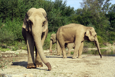 Similar image 648652