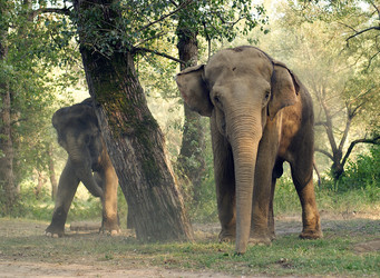 Similar image 648654