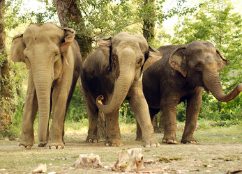 Similar image 648655