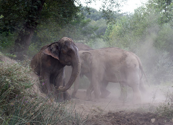 Similar image 648656