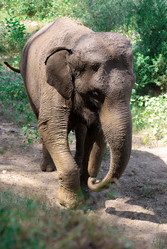 Similar image 648658