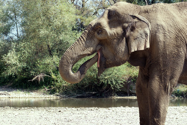 Similar image 648659