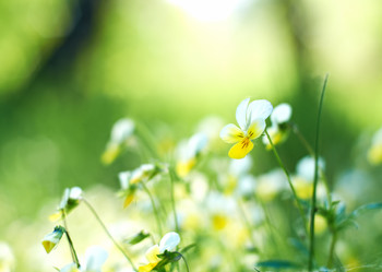 Similar image 648682