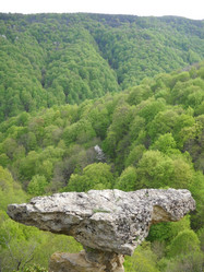 Similar image 648698