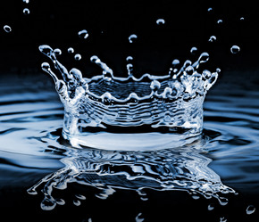 Similar image 648700