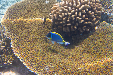 Similar image 648722