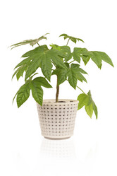 Similar image 648749