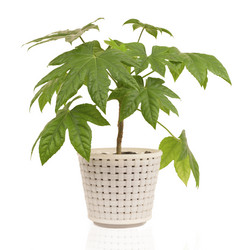 Similar image 648750