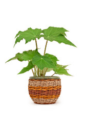 Similar image 648751