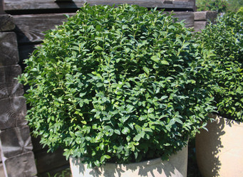 Similar image 648786