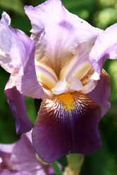 Similar image 648816