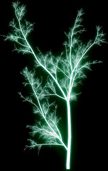 Similar image 648832