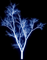 Similar image 648834