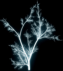 Similar image 648835