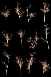 Similar image 648837