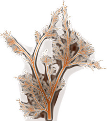 Similar image 648838