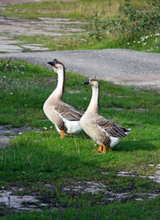 Similar image 648854