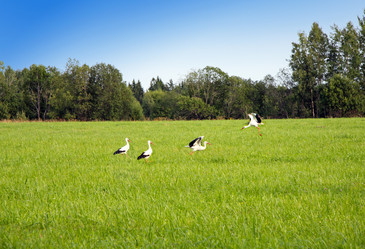 Similar image 648859