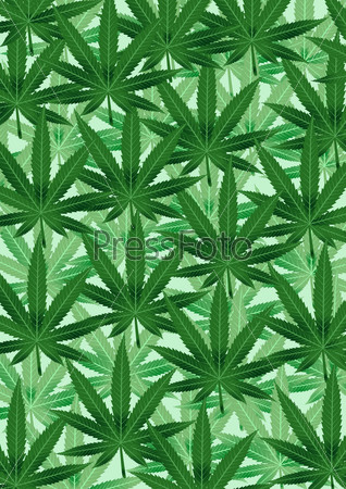 Картинки на тему конопли исследование о вреде марихуаны