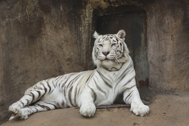 Similar image 648887