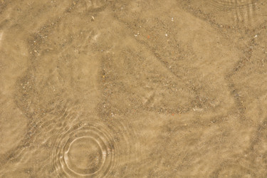 Similar image 648910