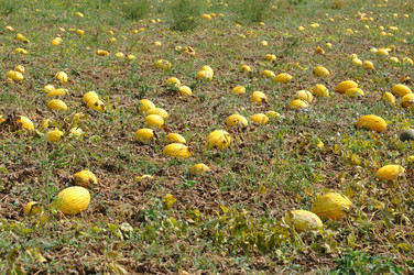 Similar image 648935