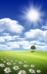 Similar image 648969