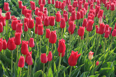 Similar image 648983